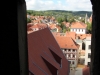 Baumentfernung am Turm durch die Firma SUKA